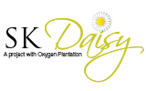 S K DAISY