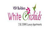 VSV WHITE ORCHIDS